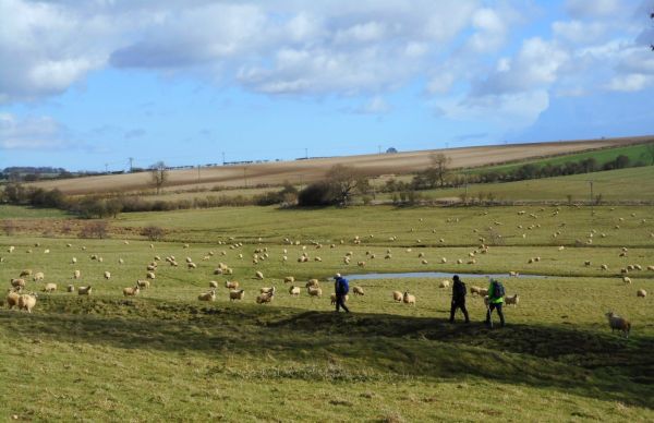 tealby footpath